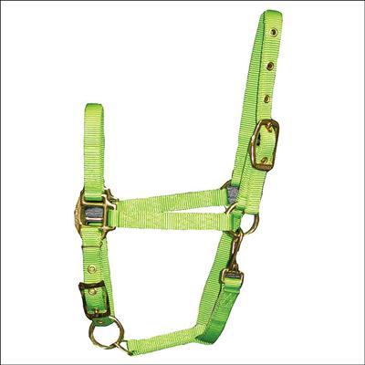 HM-3DASWNLI-S76 3-4 INCH WEANLING HORSE ADJUSTABLE CHIN HALTER SNAP by HAMILTON PRODUCTS US