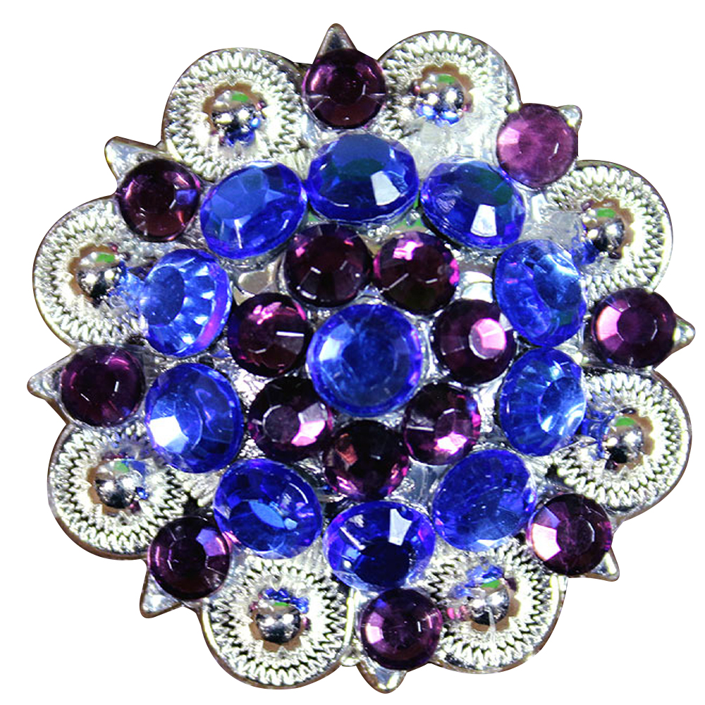 Hilason Blue Purple Crystals 1-1/49 Inch Berry Concho Rhinestone Saddle Tack Set