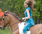 English Western Bareback Pads