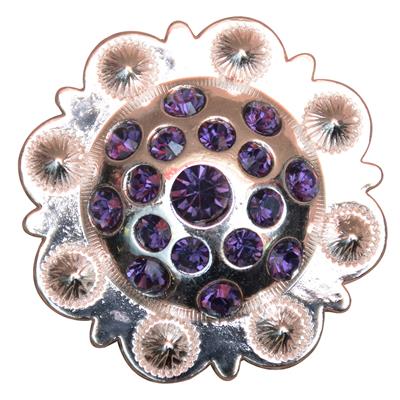 HSCN015-BROWN RHINESTONE CRYSTAL BERRY CONCHOS SADDLE TACK COWBOY