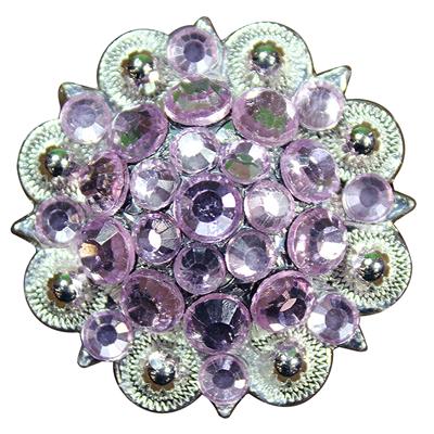 HSCN050-041-ROSE CRYSTALS BERRY CONCHO RHINESTONE HEADSTALL SADDLE TACK COWGIRL