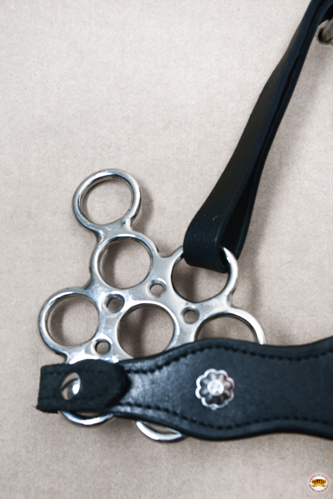 HA HILASON Pferd Hackamore Edelstahl mit Lederbezug - Bild 48 von 68