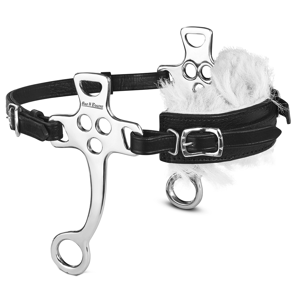 HA HILASON Pferd Hackamore Edelstahl mit Lederbezug - Bild 61 von 68