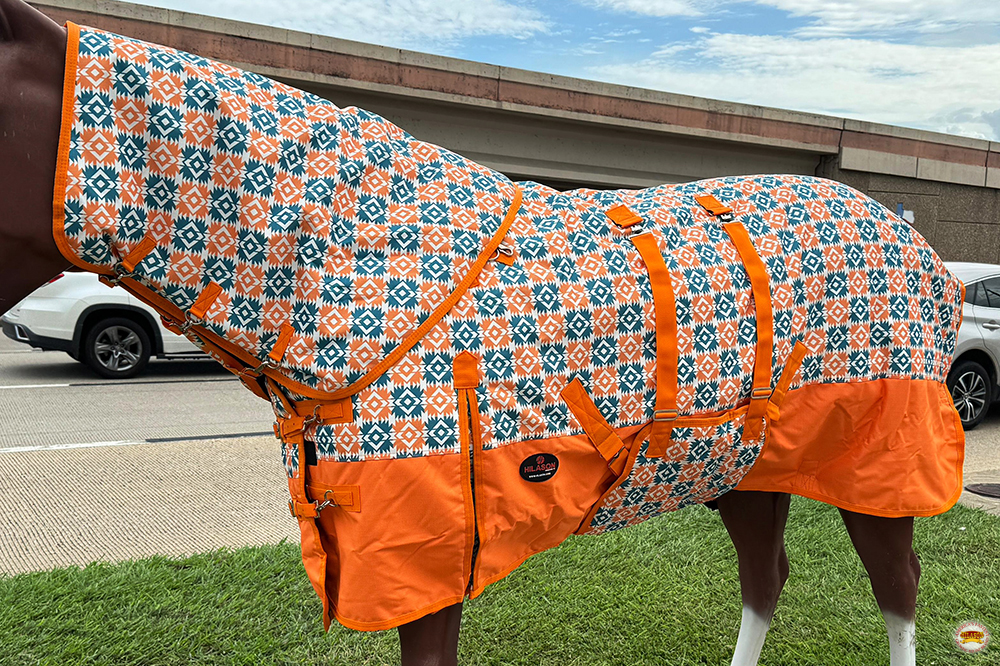 HI Hilason 1200D Impermeabile CavalloTurnout Collo Coperta Pancia Wrap - Foto 18 di 56