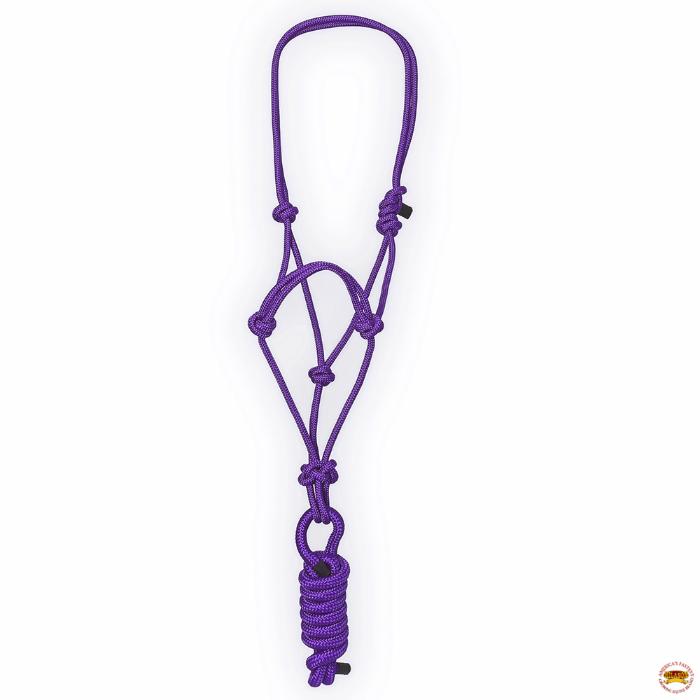 KK 8 Fuß Hilason Western Nylon Schwerlast Führstrick Halfter für Pferde Zaumzeug - Bild 11 von 18