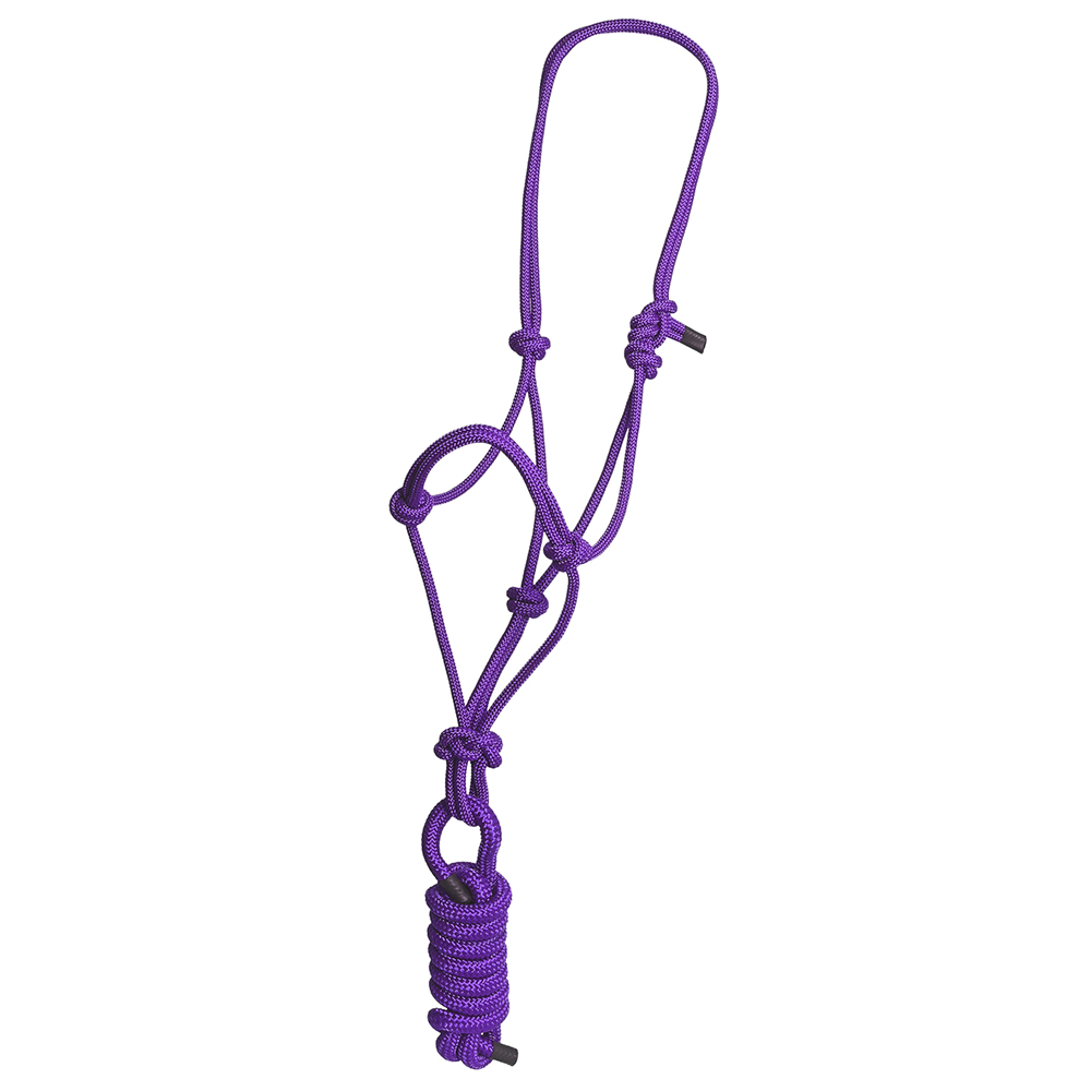 KK 8 Fuß Hilason Western Nylon Schwerlast Führstrick Halfter für Pferde Zaumzeug - Bild 10 von 18