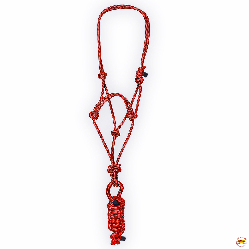 KK 8 Fuß Hilason Western Nylon Schwerlast Führstrick Halfter für Pferde Zaumzeug - Bild 14 von 18