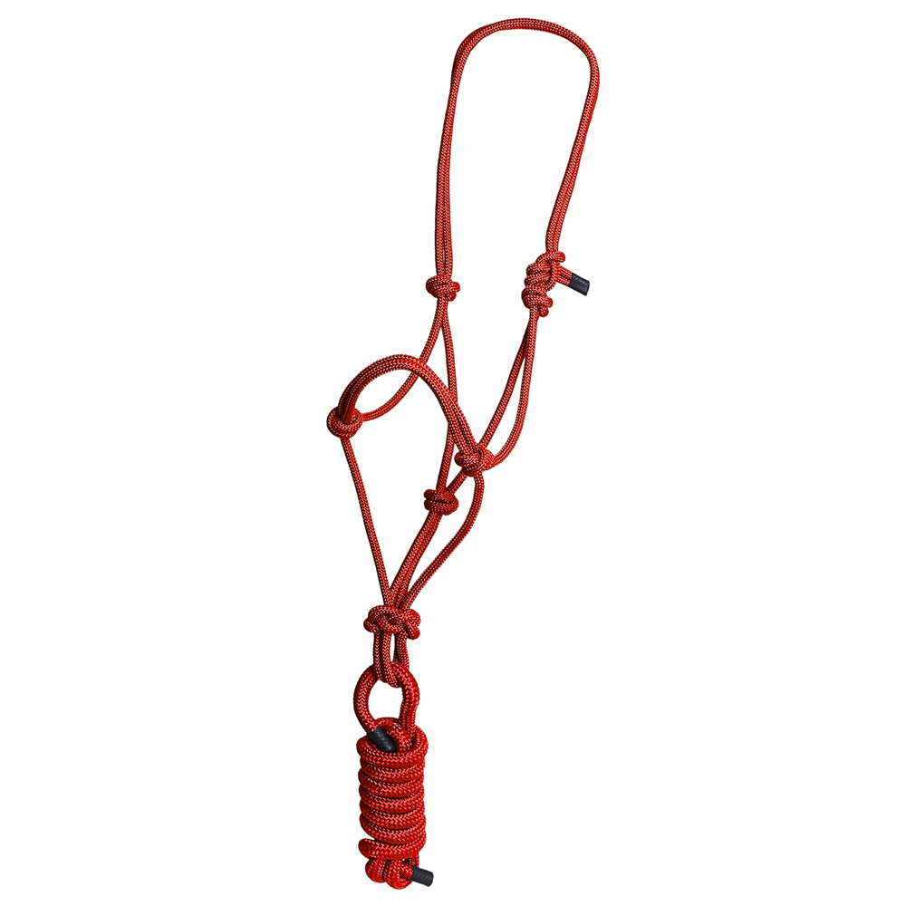 KK 8 Fuß Hilason Western Nylon Schwerlast Führstrick Halfter für Pferde Zaumzeug - Bild 13 von 18