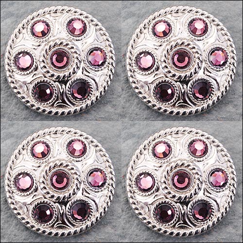 Western Screw Back Concho1 Purple Crystal Wheel Bling Headstall Cowgirl U-N082 Gloednieuw, 100% gloednieuw!