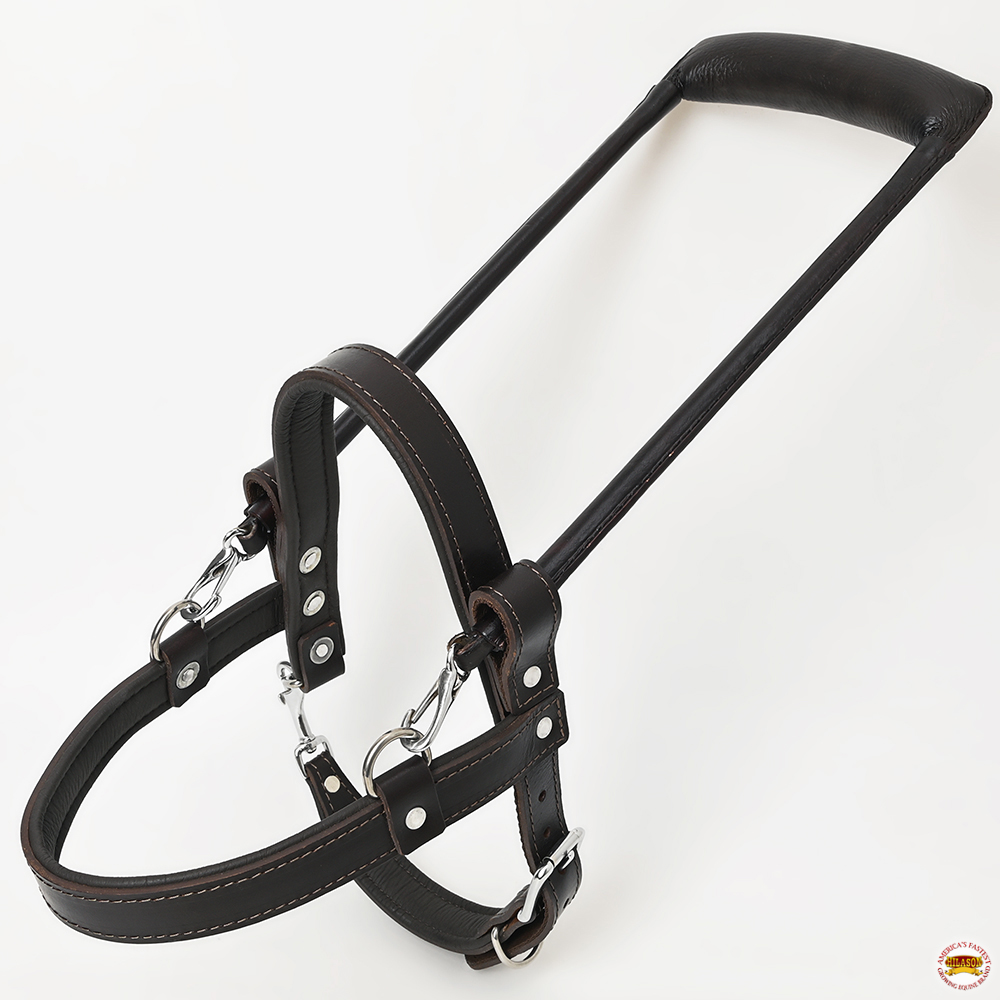 Guide Dog Harness Gh300 Hilason Brown Padded Genuine Leather W Handle guide-dog-harness-gh300-hilason-brown-padded-genuine-leather-w-handle
