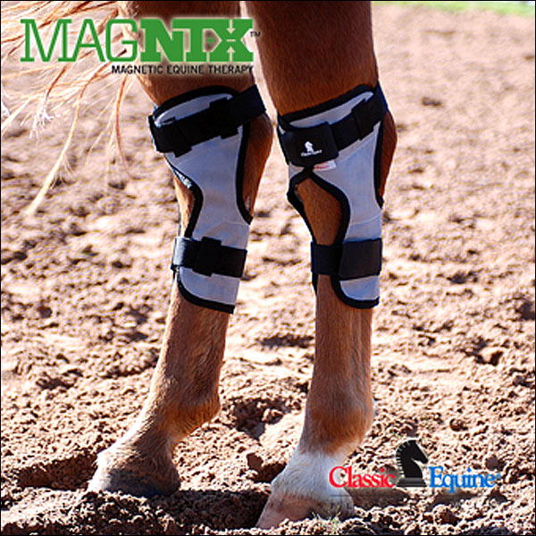 CEMHW CLASSIC EQUINE MAGNTX HOCK LEG WRAP HORSE THERAPY
