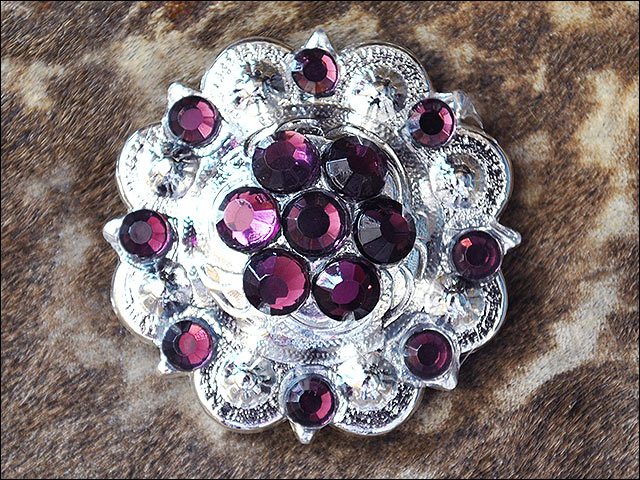 19HS 1.25 In Hilason Horse Saddle Tack Western Conchos Berry Glass Rhinestone - Picture 10 of 289