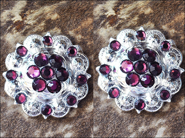 19HS 1.25 In Hilason Horse Saddle Tack Western Conchos Berry Glass Rhinestone - Picture 11 of 289