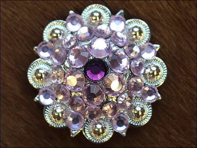19HS 1.25 In Hilason Horse Saddle Tack Western Conchos Berry Glass Rhinestone - Picture 17 of 289