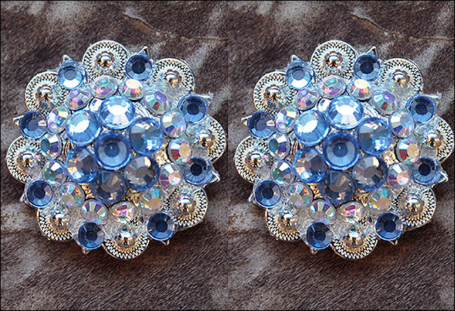 19HS 1.25 In Hilason Horse Saddle Tack Western Conchos Berry Glass Rhinestone - Picture 31 of 289