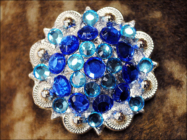 19HS 1.25 In Hilason Horse Saddle Tack Western Conchos Berry Glass Rhinestone - Picture 104 of 289