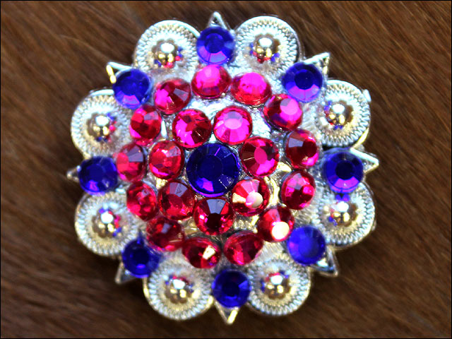 19HS 1.25 In Hilason Horse Saddle Tack Western Conchos Berry Glass Rhinestone - Picture 90 of 289