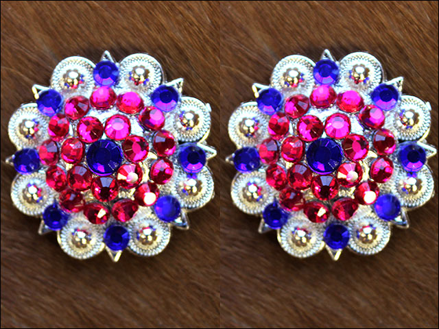 19HS 1.25 In Hilason Horse Saddle Tack Western Conchos Berry Glass Rhinestone - Picture 91 of 289