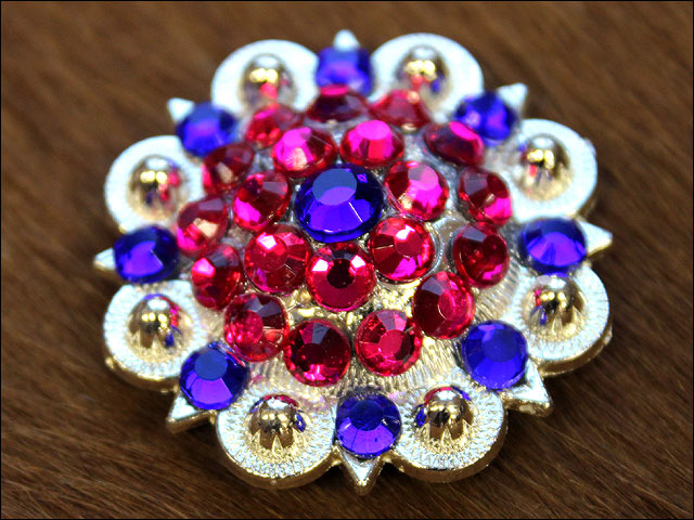 19HS 1.25 In Hilason Horse Saddle Tack Western Conchos Berry Glass Rhinestone - Picture 93 of 289
