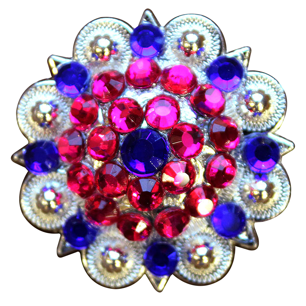 19HS 1.25 In Hilason Horse Saddle Tack Western Conchos Berry Glass Rhinestone - Picture 89 of 289