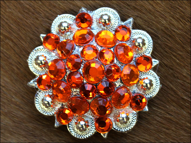 19HS 1.25 In Hilason Horse Saddle Tack Western Conchos Berry Glass Rhinestone - Picture 185 of 289
