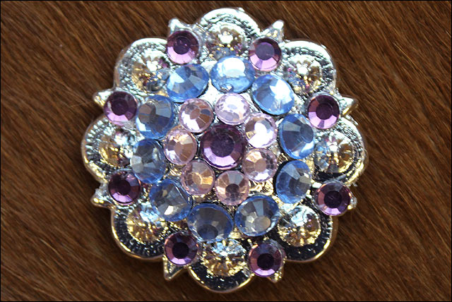 19HS 1.25 In Hilason Horse Saddle Tack Western Conchos Berry Glass Rhinestone - Picture 191 of 289