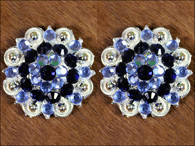 19HS 1.25 In Hilason Horse Saddle Tack Western Conchos Berry Glass Rhinestone - Picture 84 of 289