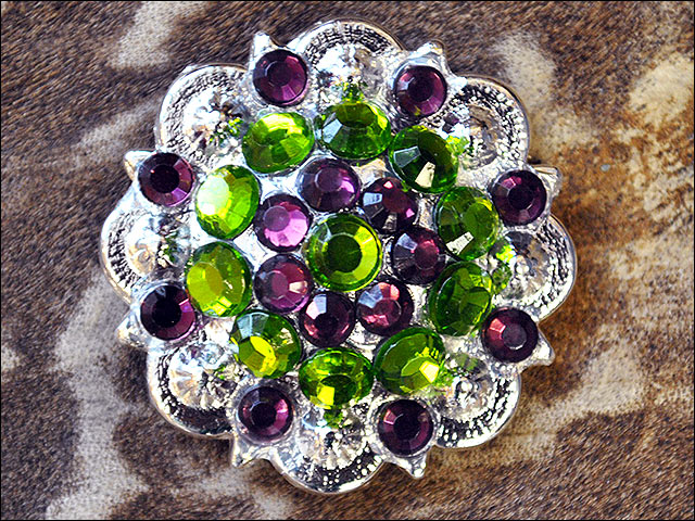 19HS 1.25 In Hilason Horse Saddle Tack Western Conchos Berry Glass Rhinestone - Picture 232 of 289