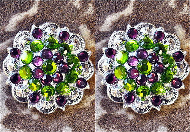 19HS 1.25 In Hilason Horse Saddle Tack Western Conchos Berry Glass Rhinestone - Picture 233 of 289
