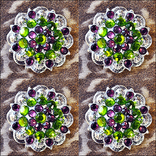 19HS 1.25 In Hilason Horse Saddle Tack Western Conchos Berry Glass Rhinestone - Picture 234 of 289