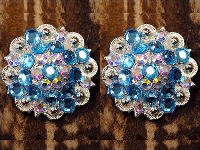 19HS 1.25 In Hilason Horse Saddle Tack Western Conchos Berry Glass Rhinestone - Picture 287 of 289