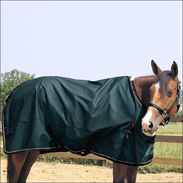 CG84 84" WEAVER HUNTER GREEN 1200 DENIER RIPSTOP WINTER HORSE TURNOUT