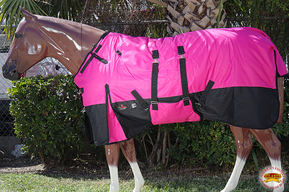 horse security blanket