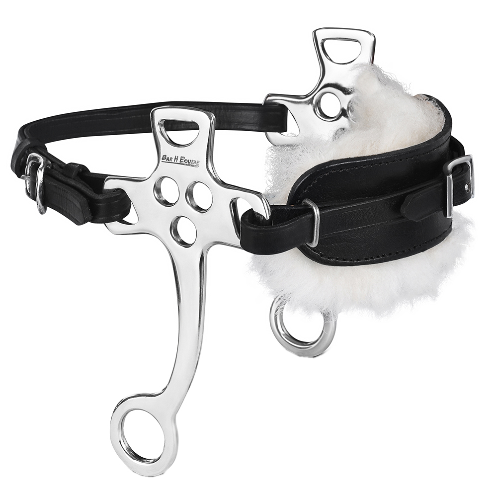 HA HILASON Pferd Hackamore Edelstahl mit Lederbezug - Bild 25 von 68