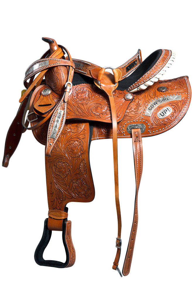U5VX U20 GREAT AMERICAN GAITED WESTERN TRAIL PLEASURE ENDURANCE HORSE