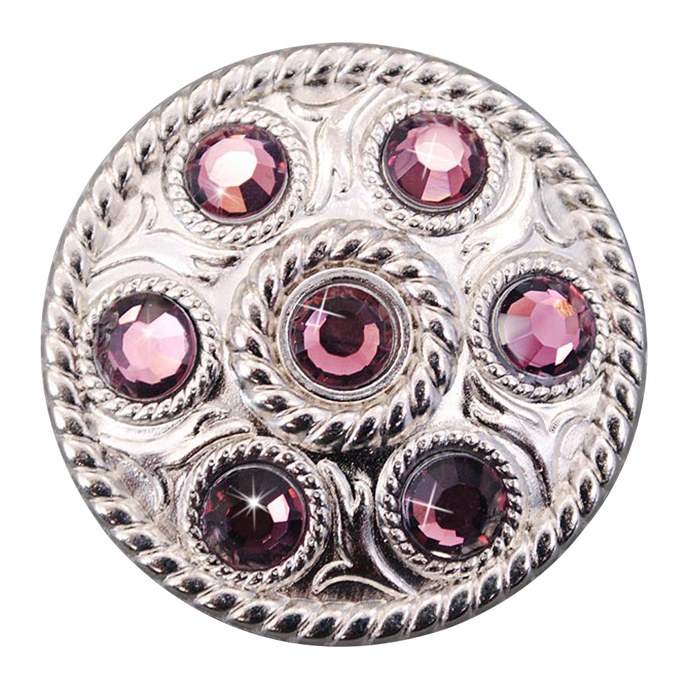 Western Screw Back Concho1 Purple Crystal Wheel Bling Headstall Cowgirl U-N082 Gloednieuw, 100% gloednieuw!