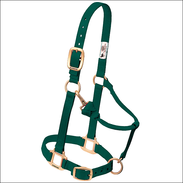C5HG Hunter Green Western Tack Adjustable Horse Halter 1" Average