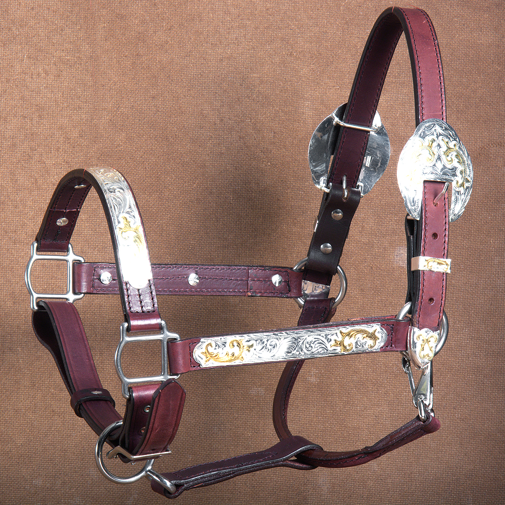 HILASON WESTERN LEATHER HORSE HALTER W/ HAND ENGRAVED GOLD SILVER TRIM BROWN 635562365054 eBay
