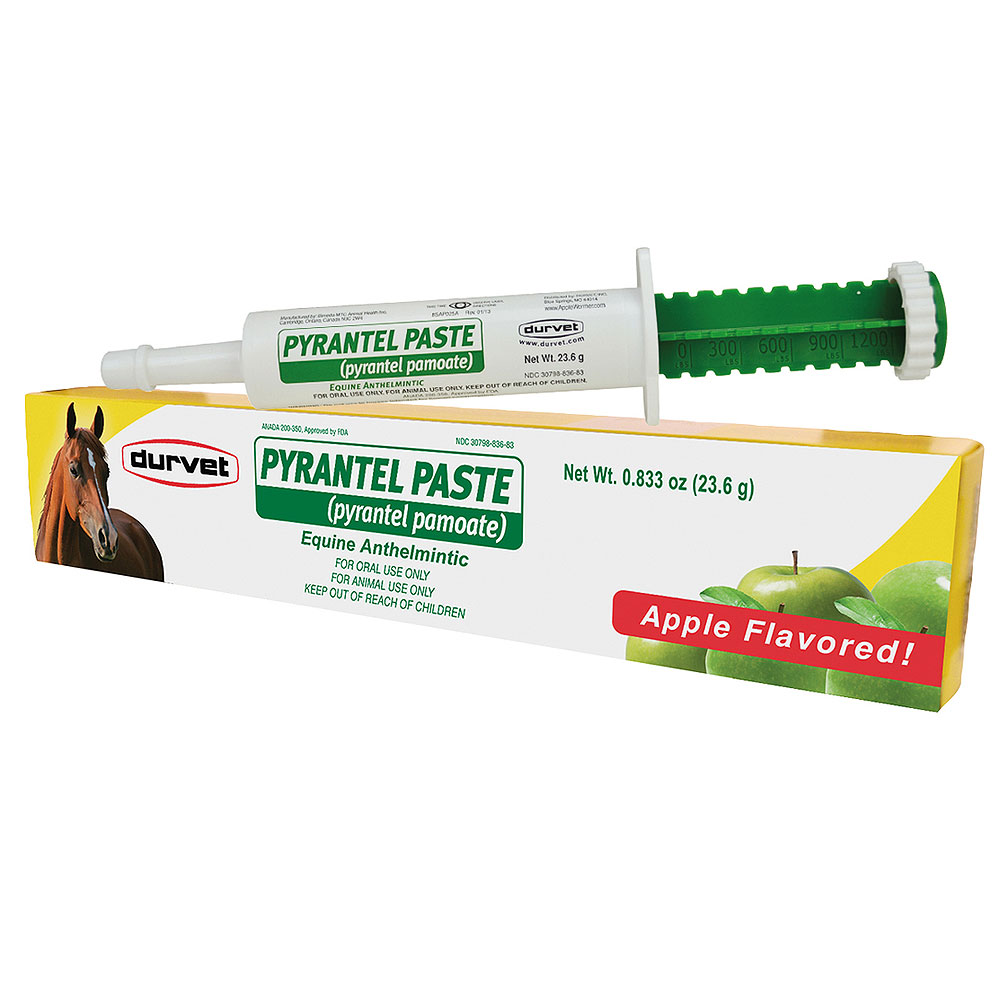 C7979 Durvet Horse Dewormer Care Pyrantel Paste Syringe 23.6Gm