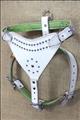 HSDH146-HILASON PADDED GENUINE WHITE LEATHER DOG HARNESS