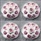 HSCN085-NICKLE FINISH PINK CONCHOS FLORAL SHAPE