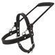 HSGH300-HILASON GENUINE LEATHER GUIDE HARNESS WITH HANDLE BROWN