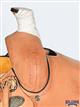 BHRS106-Saddle Ranch Roping Trail Tan