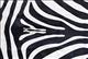 HSHS955-Stencil Zebra Skin Rug Carpet