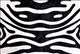HSHS1005-S05 ZEBRA STRIPES HILASON HAIR ON LEATHER PURE BRAZILIAN COWHIDE SKIN RUG CARPET