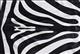 HSHS1005-S05 ZEBRA STRIPES HILASON HAIR ON LEATHER PURE BRAZILIAN COWHIDE SKIN RUG CARPET