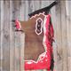 HSCH859-HILASON BULL RIDING SMOOTH LEATHER RODEO WESTERN CHAPS BROWN RED