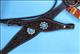 BHPA442DBCN046-F42 HILASON WESTERN LEATHER HORSE HEADSTALL BREAST COLLAR BROWN TURQUOISE CONCHO