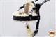 HSGH106-LEATHER WORKING / GUIDE / ASSISTANCE DOG HARNESS