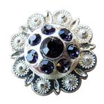 Crystal Rhinestone Bling Berry Conchos Iris Color